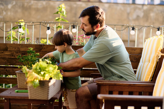 Father Teaching Son to Plant Tomatoes on Urban Balcony