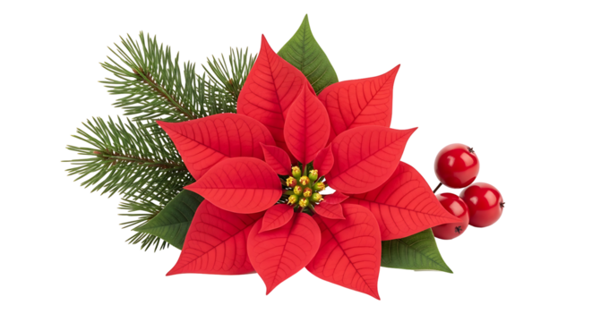 Poinsettia Christmas Floral Decoration Red Flower Holiday Festive Season