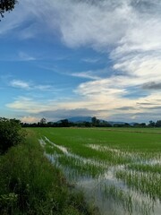 A beautiful summer landscape features a green meadow stretching toward the blue horizon, with the sunset casting warm light over a river and the rural farm country