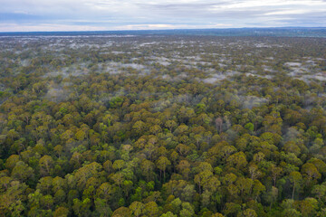 Aerial view of the Borneo rainforest at Klias Forest Reserve, Beaufort Sabah. © Yusnizam Yusof