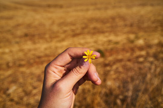 A day of walking in the countryside