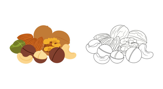 A colorful and monochrome illustration of various nuts and seeds
