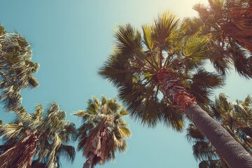 Low Angle View Of Palm Trees Against Clear Blue Sky With Sunlight Flares