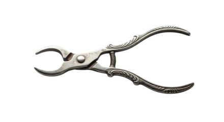 Vintage silver grape scissors isolated on transparent background, a tool for harvesting grapes, a relic of the past, a symbol of tradition and elegance