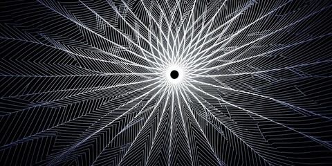 Intricate, radiating black and white lines forming a hypnotic geometric design, art, graphic