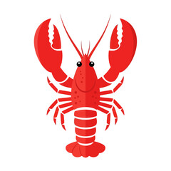 Red lobster vector illustration isolated on white background, a detailed flat graphic design of a marine crustacean for seafood menus, culinary applications, and ocean themes.