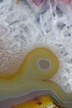 Closeup macro photograph Brazilian agate geologic specimen fossilized