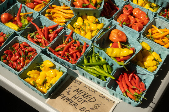 Colorful Hot Peppers Farmers Market Union Square NYC