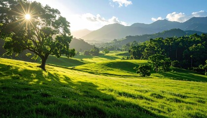 Obraz premium Sunlight streams through a lone tree casting long shadows across a vibrant green meadow with rolling hills and distant mountains under a clear blue sky with fluffy white clouds at sunrise.