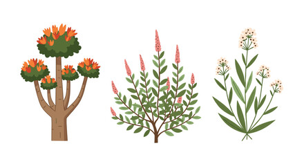 Three distinct, stylized botanical illustrations featuring various plants with colorful flowers and green foliage on a white background.