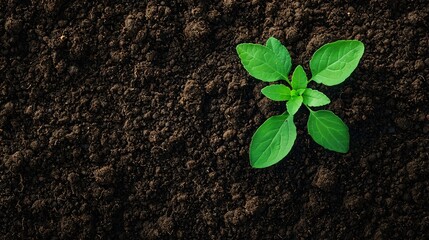 Naklejka premium Aerial view of compost heap surrounded by green vegetation and soil layers.