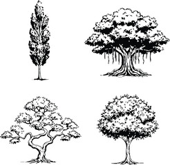 A comprehensive set of tree silhouettes, vector illustrations, and nature designs for decoration and art projects, featuring pine, oak, palm, and birch plants with leaf and branch details