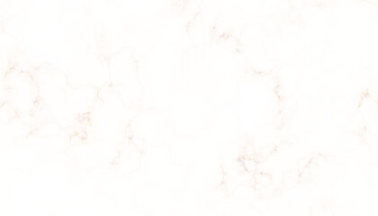 White Marble Texture with Subtle Veins