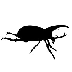 Rhinoceros Beetle Silhouette 