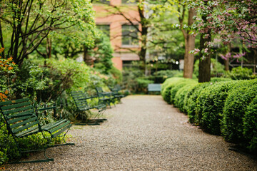 Serene Green Park Path With Benches Surrounded by Lush Greenery