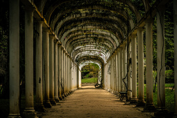 Fototapeta premium Shaded Pergola Walkway in the Botanical Garden of Rio de Janeiro, Brazil