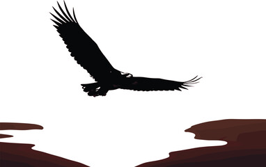 Eagle silhouette over canyon, flying bird in desert landscape, majestic raptor, nature freedom scene, wildlife vector illustration, sunset view