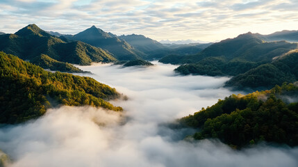 Obraz premium Misty morning fog enveloping lush green hills creates serene landscape
