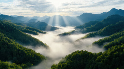 Obraz premium Majestic mountain valley shrouded in morning mist, sunlight beams illuminating landscape