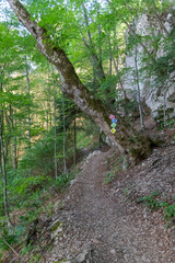 Fototapeta premium Natural landscapes of Bosnia and Herzegovina featuring scenic mountains, rivers, forests, lakes, valleys, and seasonal light ideal for travel, wellness, editorial, and lifestyle visual projects