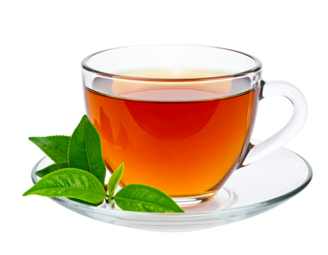 Cup of Hot Tea with Fresh Green Tea Leaves on Saucer, Front View, Isolated on Transparent Background
