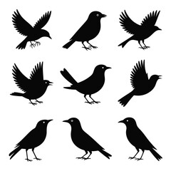 Obraz premium Collection of black bird silhouettes in various poses and flight