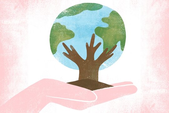 Hand Holding Soil with Tree Growing Earth Canopy &mdash; Save the Planet 