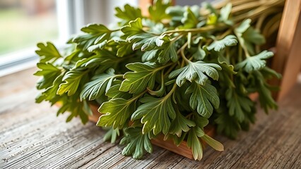 tolerable. Close-up of dried lovage leaves on a wooden rack with natural morning light. gardening catalogs, home-decor guides, designed for home decor and floral branding, used by sports marketers.