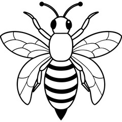 Black and White Drawing of a Bee Insect with Wings and Stripes