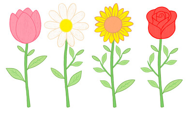 Colorful flower set with tulip, daisy, sunflower, and rose in cute cartoon style. Perfect for spring design and children&rsquo;s illustration.