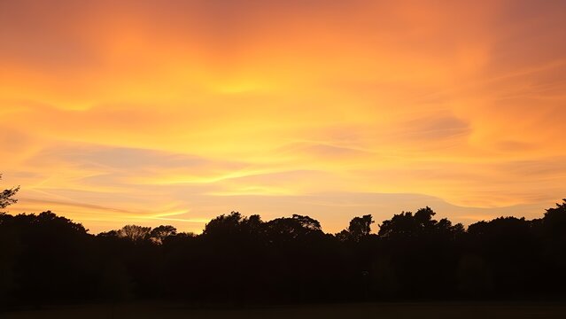 greenspace. Sunset over urban greenspace with tree silhouettes, portraying peaceful twilight in the city. inspiring travel planning, travel magazines, designed for travel destination branding.