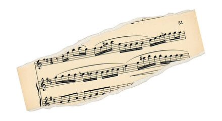 Torn sheet music with musical notes and staff lines isolated on transparent background
