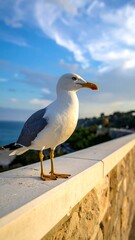 Fototapeta premium A seagull perched atop a wall, ocean and blue sky in background