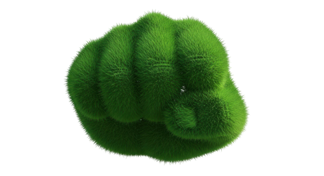 Green grass fist clenched on black isolated on a transparent background hand