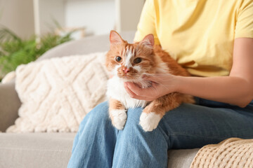 Young woman stroking cute ginger cat on sofa at home, closeup