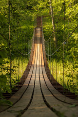 Obraz premium Wooden suspension bridge over a forest river. Beautiful summer landscape with a pedestrian suspension bridge. Hiking trail in a forest area. Traveling and hiking in the forest. Ecological tourism.