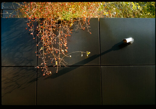 Autumn under surveillance