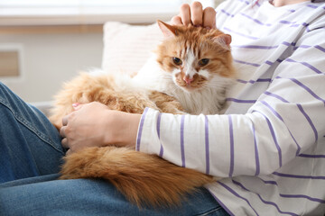 Young woman stroking cute ginger cat on sofa at home