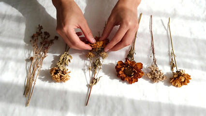 Hands Arranging Dried Flowers