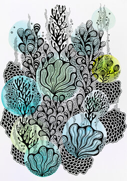 Seaweed And Shellfish Illustration
