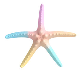 Pastel colored starfish illustration