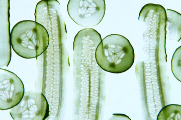 Still Life - Cucumbers