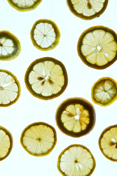 Still Life - Lemon