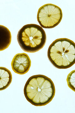 Still Life - Lemon
