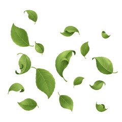 Scattered green leaves on a black background