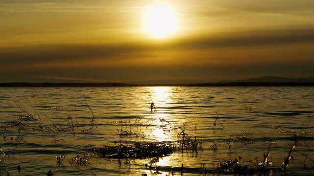 An unusually beautiful cloudy sunset on the lake. The coastal vegetation in the water on the shore of the lake was covered with ice with the onset of subzero temperatures.