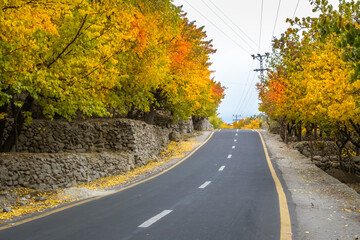 Beautiful autumn landscape with colorful trees in the mountains valley of skardu, gilgit baltistan, Pakistan