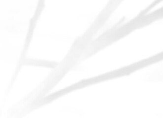 Minimal Abstract Branch Shadow Overlay