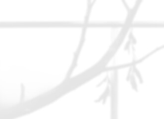 Minimal Abstract Branch Shadow Overlay