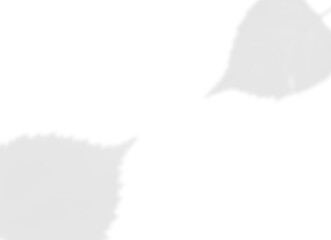 Elegant Vine and Leaf Shadow Overlay